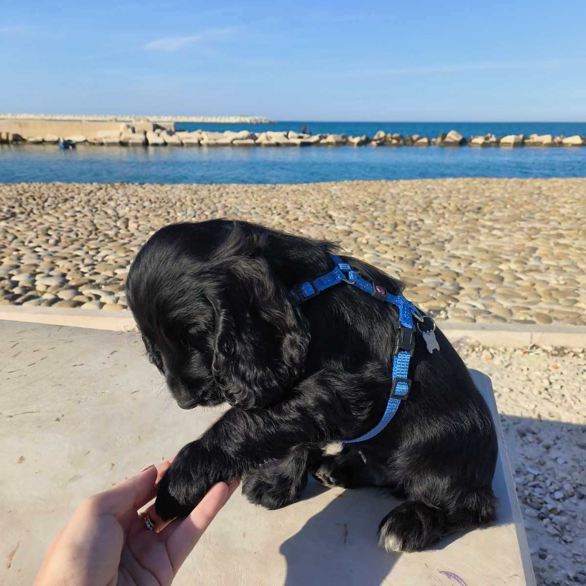 Una mattina con&nbsp;Kiwi